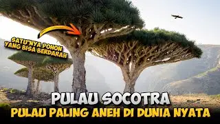 SOCOTRA : PULAU MISTERIUS TEMPAT PERSEMBUNYIAN DAJJAL