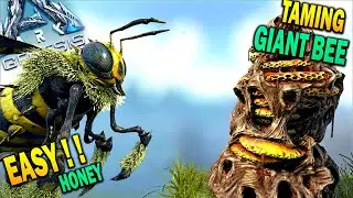🐝Ark EASY Honey Farm + Instant Giant Bee Tame !! How To Tame Giant Bee Ark Survival Evolved
