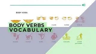 BODY VERBS VOCABULARY