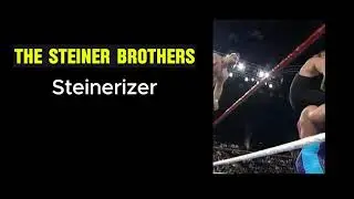 TOP ROPE TAG TEAM Finisher - Who Did It Best?