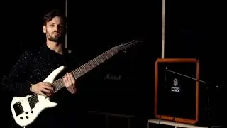 7 string delay bass solo