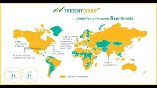 Trident stock  fundamental analysis and and future prospects