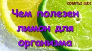Топ 15 полезных свойств лимона о которых вы и не догадывались