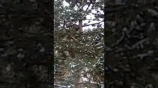 Сегодня, как и десять лет тому...