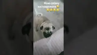 15 марта 2024 г.