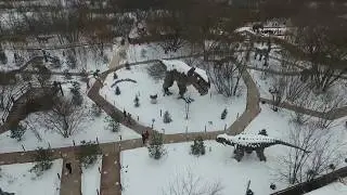 Ожившие динозавры и прочая доисторическая живность в Москве сняты беспилотником в парке Skazka