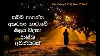 සබ්බ පාපස්ස අකරනං ගාථාවේ බලය විදහා දැක්කු අවස්ථාවක් Maha Rahathun Wadi Maga Osse1005