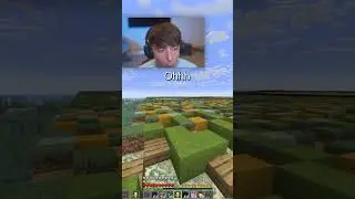 Someone built the mona lisa in Donut SMP