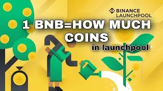 How much allocation you will get on binance launchpad|how to use Binance launchpad|binance launchpad