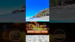 Ответь на вопрос / Квиз #что #где #когда