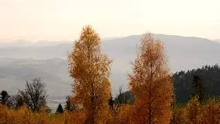 2018.10.18. -  Jeseň v Branisku