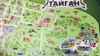 Парк львов " Тайган "