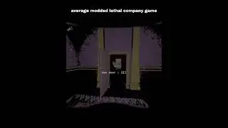 average modded lethal compnay game
