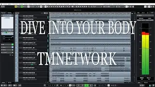 TMNETWORK DIVE INTO YOUR BODY inst