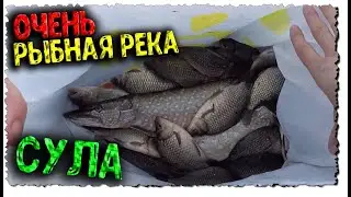 🔥Река Сула в Октябре/Погребняки/Рыбалка на джиг/Удочка с поплавком/Щука/Окунь/Карась/Плотва🔥