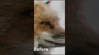 Portrait Glitch Effect in Photoshop