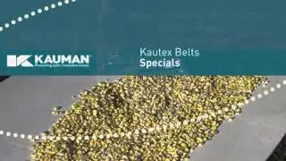 Kauman 1