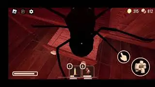 I play doors in Roblox!