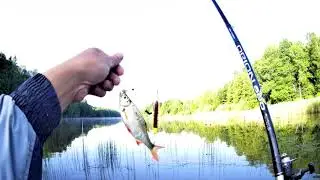 Сезон лодки открыт