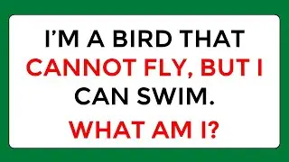 Can You Solve These 20 Tricky Animal Riddles? | #challenge 138