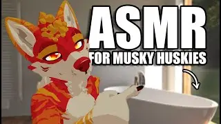 An Extremely Relaxing Furry ASMR for Musky Huskies 🧼 (Personal Attention)