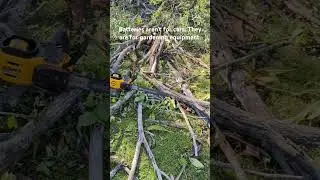 Batteries aren't for cars #tesla #garden #gardening #wood #satisfying