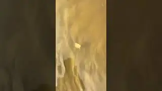 #nature