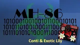 TI Update: Conti & Exotic Lily