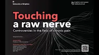 Touching a raw nerve: Controversies in the field of chronic pain | Inaugural lecture Prof A Dilley