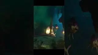 ARKS NEWEST WATER DINO LOOKS AMAZING!