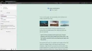 Using WordPress - Customizer - Site Title and Tagline
