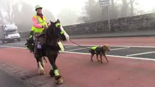 DAY 1 (of Sandra's epic trans-Ireland road trip..)