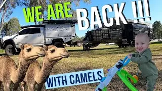 Kalbar Scenic Rim SEQ Camels Fermented Food Festival Travelling Australia Offgrid Food