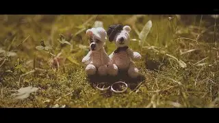 Свадебный клип. Екатерина и Антон. 7 июля 2014