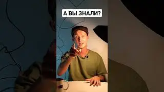 #элджей #сплин #рек #новости #эксклюзив #кошки #музыка #кино #новинка #россия