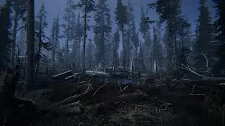 МОНОЛИТ ♦ СУДЬБА НЕЙТРАЛОВ ♦ ПОИМКА В РЫЖЕМ ЛЕСУ ♦ DAYZ STALKER RP NEW ZONE