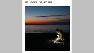 Dan InJungle - Falling in Deep