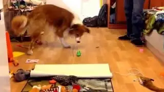 Хан и рыбка :)