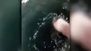 Zam zam suvining hususiyatlari