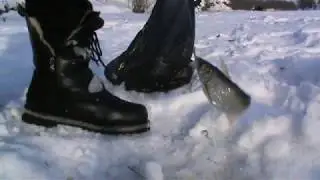ЗИМНЯЯ РЫБАЛКА С ДРУЗЬЯМИ НА СНЕГОХОДЕ. ЩУКА ОКУНЬ ЕЛЕЦ. ПО РЕКАМ СИБИРИ.