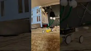 The Walker