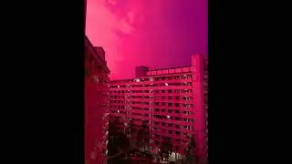[FREE DOWNLOAD] 90's Sample Pack 2 2023 (Inspired by Playboi Carti and Pierre Bourne) [BPM INCLUDED]