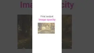 image opacity in css 