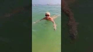 ОАЭ🇦🇪 Индийский океан, Акула Мила