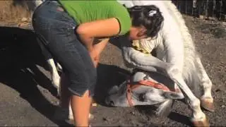fürtös~