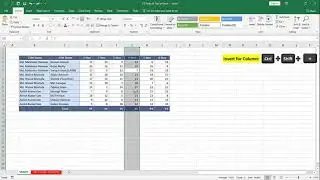 5 Most Important Tips and Tricks of Excel 2016