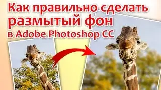 Как правильно сделать размытый фон в Adobe Photoshop CC