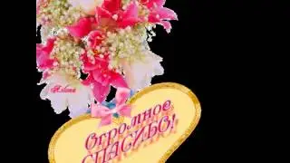 Моє слайд-шоу - подяка