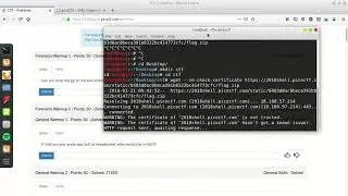 2018 PicoCTF Forensics Warmup 1 (writeup)