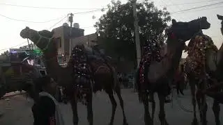 Bikaner se Nokha VIP Barat 21/4/21 Pinku Big DJ Nokha 9929918910